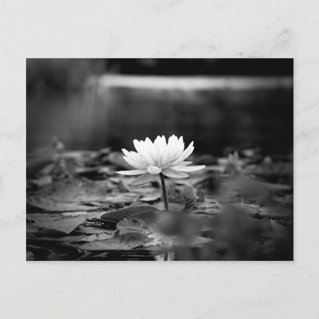 085-Series1 Postcard (Front)