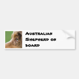 08-04-12-114, Australian Shepherd on board Bumper Sticker