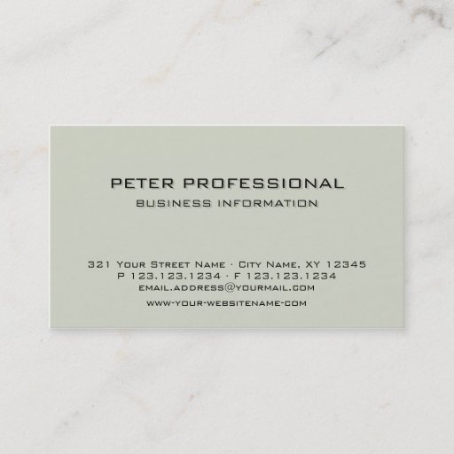 Customizable 08 Modern Professional Business Card color reed