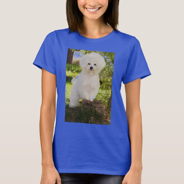 09, DE ISHBILIA BICHON FRISE T-Shirt (Front)
