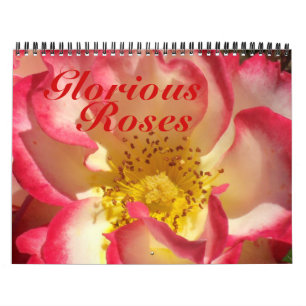 0 2013 Glorious Roses Calendar