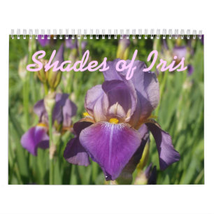 0 2013 Shades of Iris Calendar