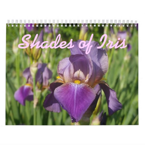 0 2013 Shades of Iris Calendar