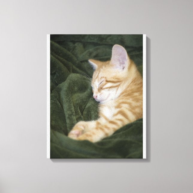 0 3 CANVAS PRINT (Front)