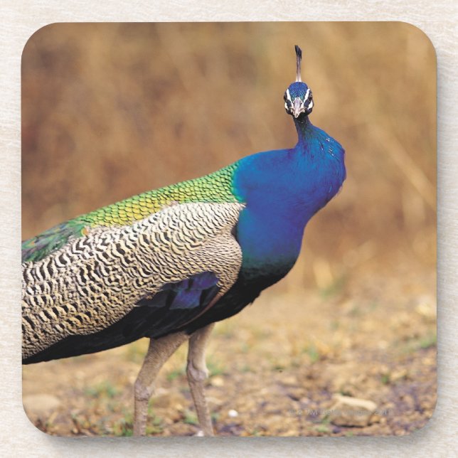0 3 DRINK COASTER (Front)