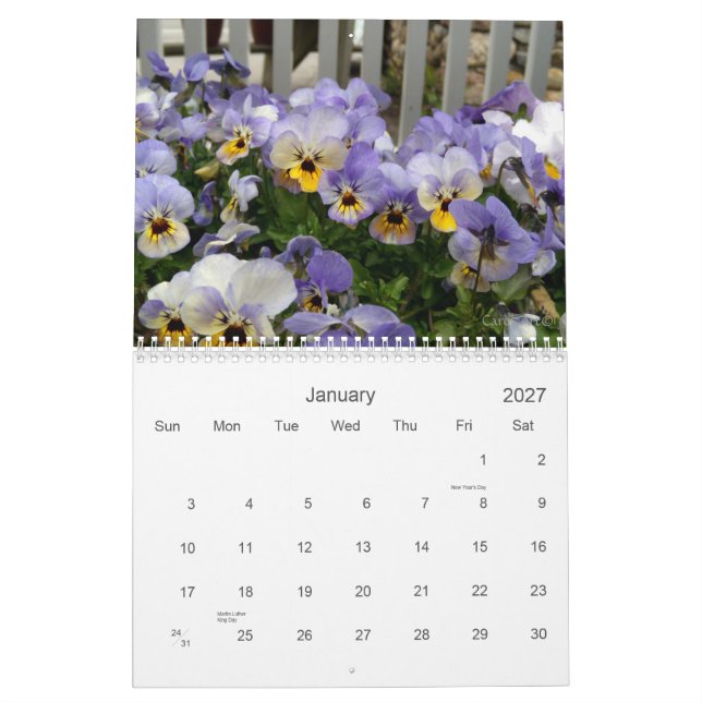 0 Pansies, Pretty Pansies Calendar (Jan 2027)