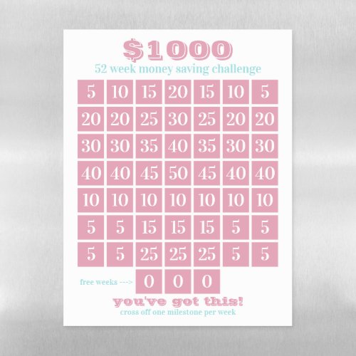 1000 52 Week Money Saving Challenge _ Pink Blue Magnetic Dry Erase Sheet