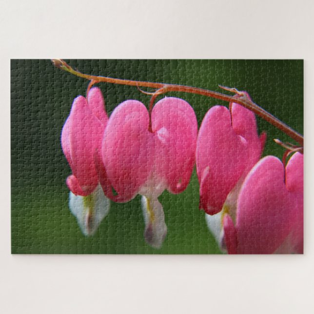 1000 piece  Bleeding Heart Jigsaw Puzzle (Horizontal)