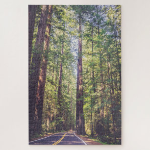 1000 Piece Puzzle Humboldt Trees Redwood Forest