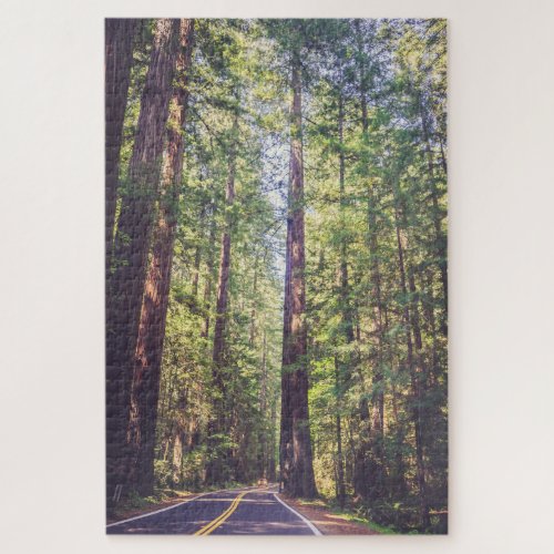 1000 Piece Puzzle Humboldt Trees Redwood Forest 