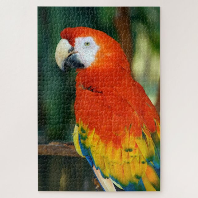 1000 piece Scarlet Macaw Jigsaw Puzzle (Vertical)