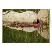 100_0088 (Front Horizontal)