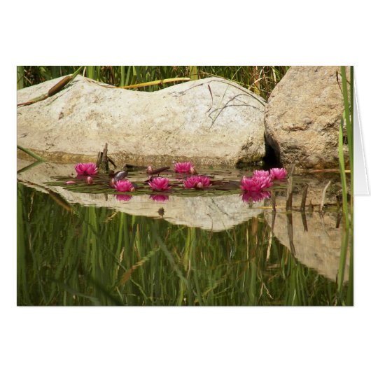 100_0088 (Front Horizontal)