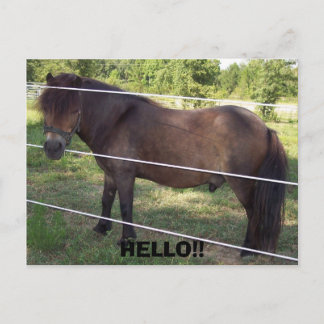 100_0376, HELLO!! POSTCARD