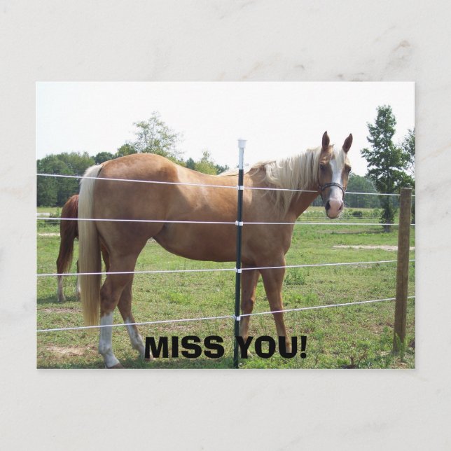 100_0415, MISS YOU! POSTCARD (Front)