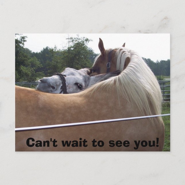 100_0416, Can't wait to see you! Postcard (Front)