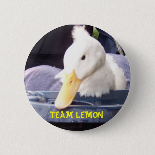 100_0517.jpg.w560h420, TEAM LEMON Pinback Button (Front)