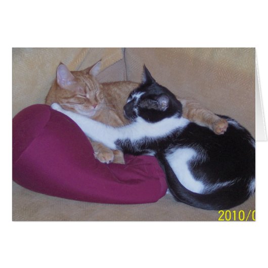 100_1102 (Front Horizontal)