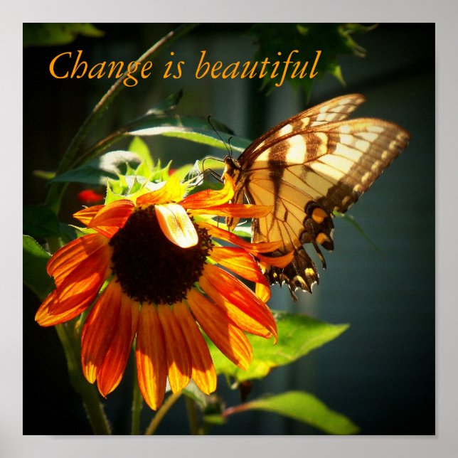 100_1974, Change is beautiful Poster (Front)