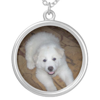 100_2406 SILVER PLATED NECKLACE
