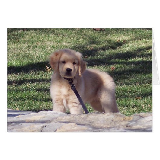 100_2426 (Front Horizontal)