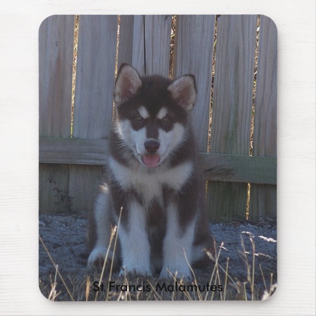 100_2932, St Francis Malamutes Mouse Pad (Front)
