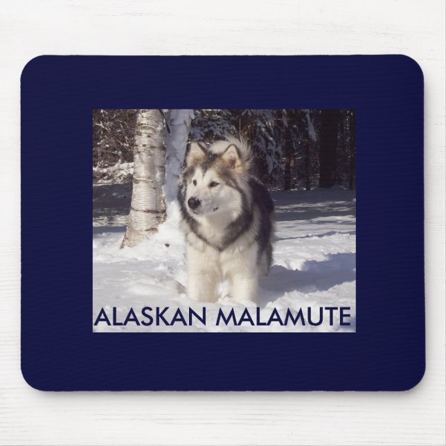 100_5815, ALASKAN MALAMUTE MOUSE PAD (Front)