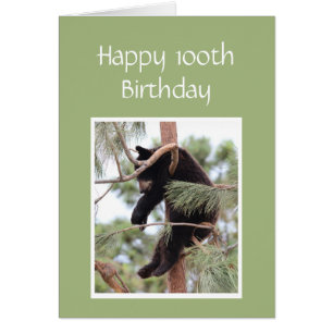 100 Birthday Old Enough Your Tired is Tired Bear Cards