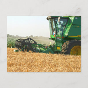 100 Bushel Wheat Harvest Postcard