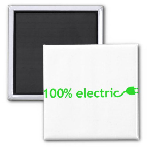 100 Electric Vehicle Magnet