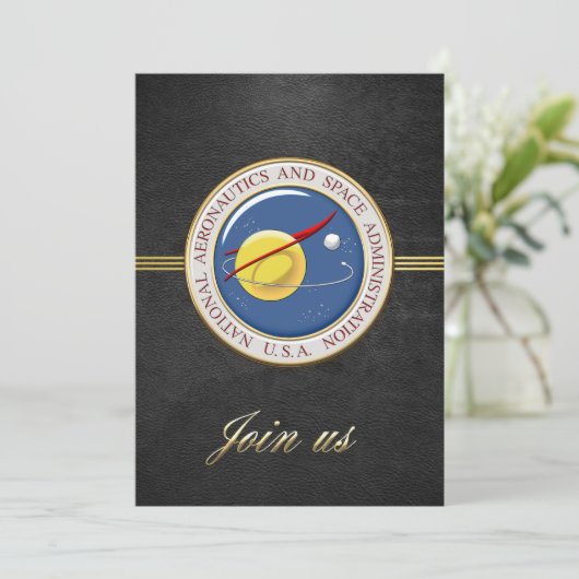 [100] NASA Emblem [3D] (Standing Front)