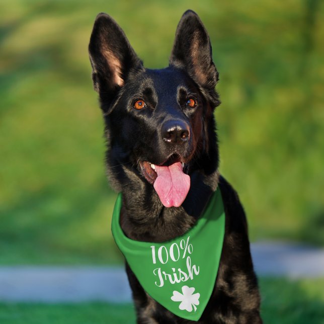100 Percent Irish Funny St Patricks Day Pet Bandana Collar (Dog)