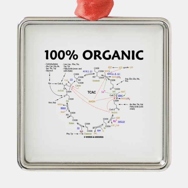 100 Percent Organic Krebs Cycle TCAC Metal Ornament (Front)