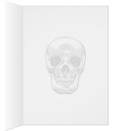 [100] Silver Human Skull (Inside (Right))