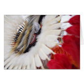 100b0103 (Front Horizontal)