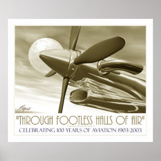 100th Anniversary of Flight Large Print