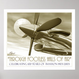 100th Anniversary of Flight Poster
