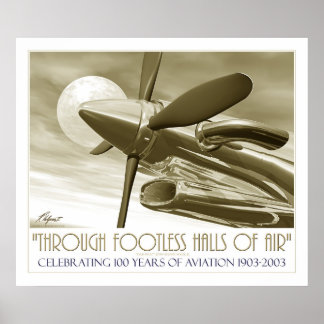 100th Anniversary of Flight Poster