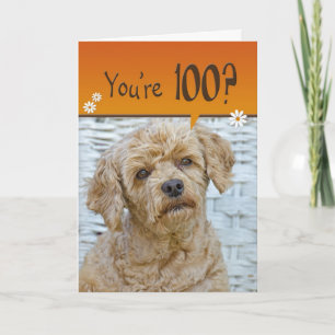 100th Birthday Card