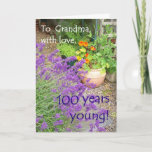 100th Birthday Card for Grandmother - Flowers<br><div class="desc">A 100th Birthday card for a Grandmother,  with a photo of a garden with lavender and nasturtiums by Judy Adamson. Please feel free to customise the inside text and if you'd like a change to the front cover text,  just contact me through my store.</div>