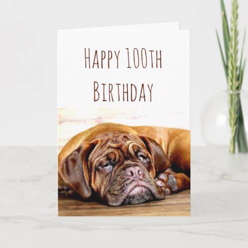 100th Birthday Sad Dog Stay Pawsitive Humor Card