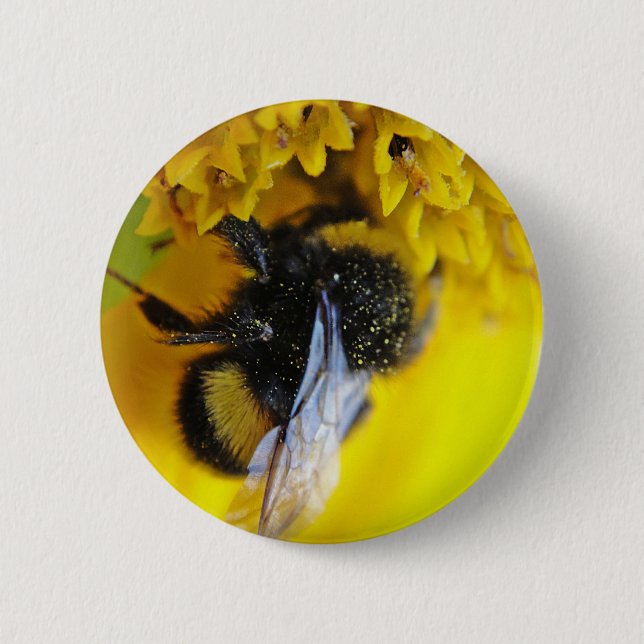 101.JPG BUTTON (Front)