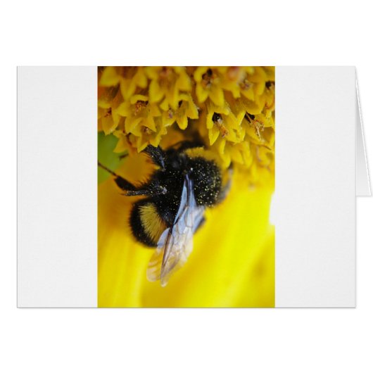 101.JPG CARDS (Front Horizontal)