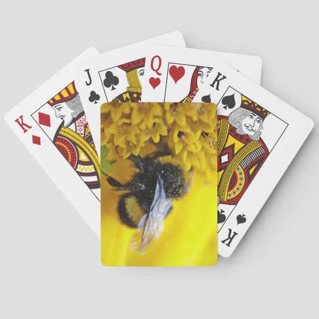 101.JPG POKER CARDS (Back)