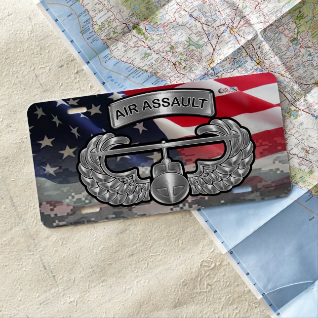 101st Airborne Division Air Assault   License Plate (In Situ)