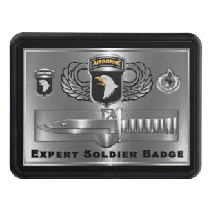 101st Airborne Division Expert Soldier Badge Hitch Cover