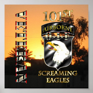 101st Airborne Division OIF Veteran Poster