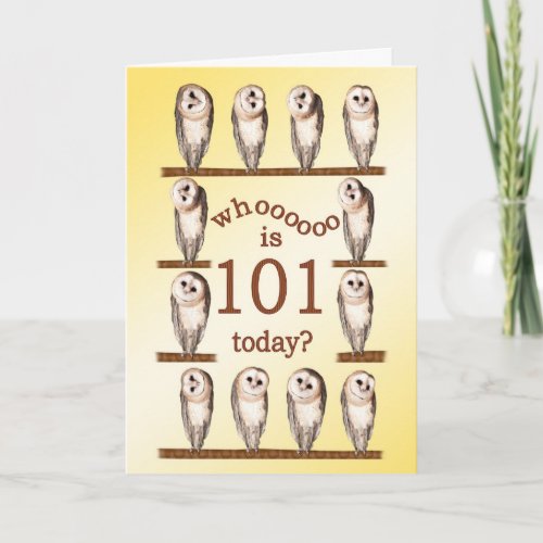 101st birthday Curious owls card Card