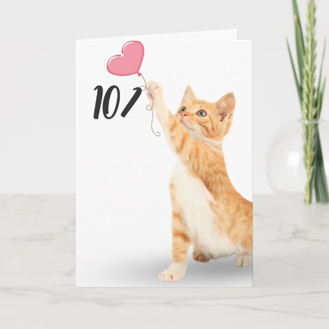 101st birthday tabby cat card (Front)