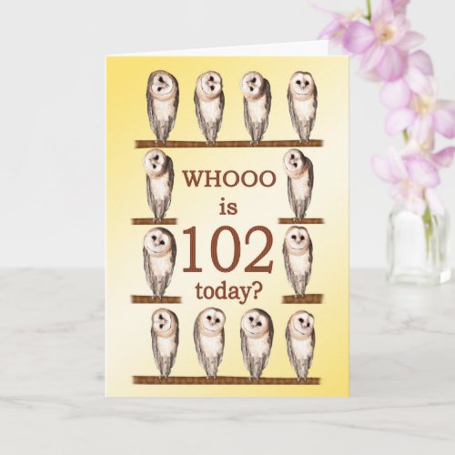 102nd Birthday Curious Owls Card